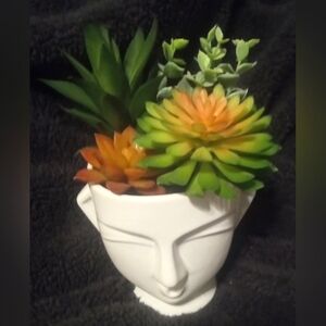 Artificial Succulent decor
